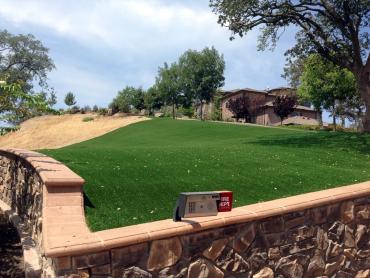 Artificial Grass Photos: Synthetic Turf Florence-Graham California Lawn  Front Yard